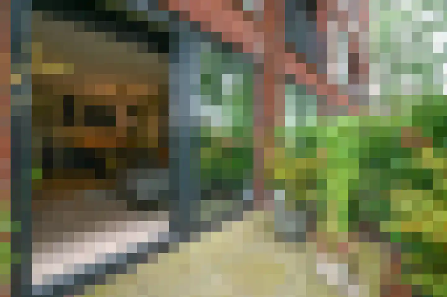 Ooievaar 6 Mijdrecht thumbnail 21