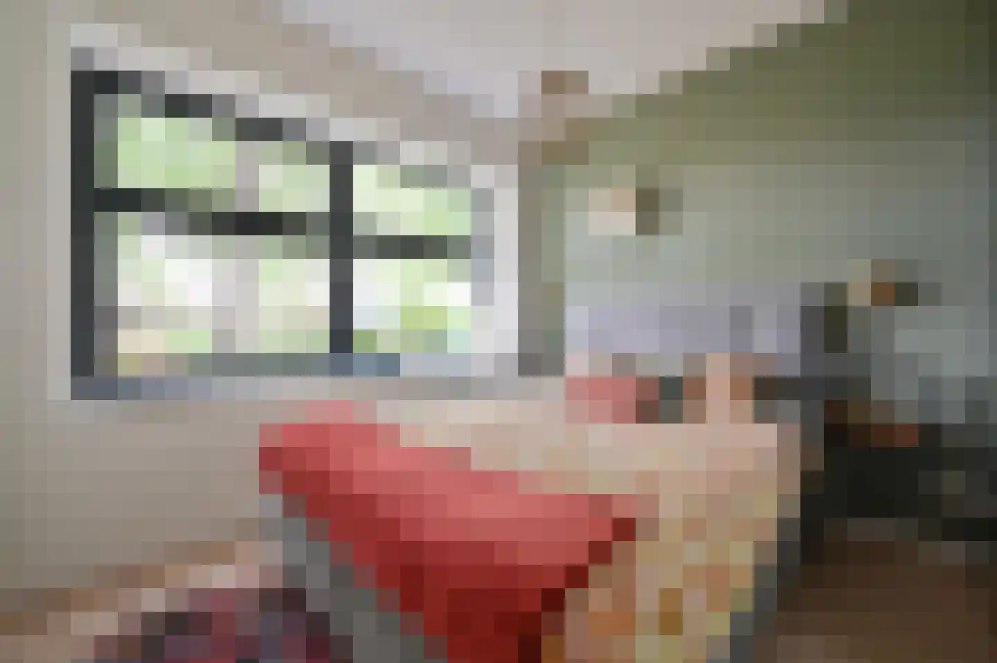 Ooievaar 6 Mijdrecht thumbnail 5