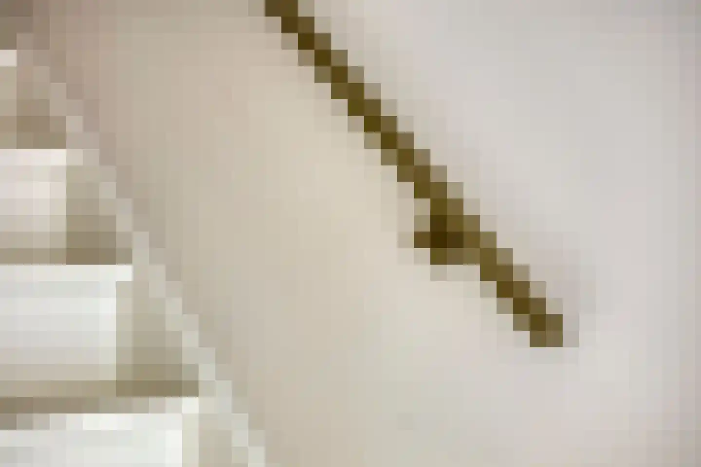 Ooievaar 7 Oud-Beijerland thumbnail 31