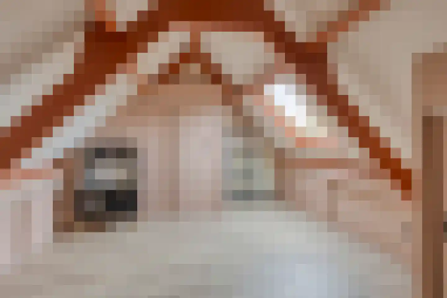 Ooievaar 7 Oud-Beijerland thumbnail 43