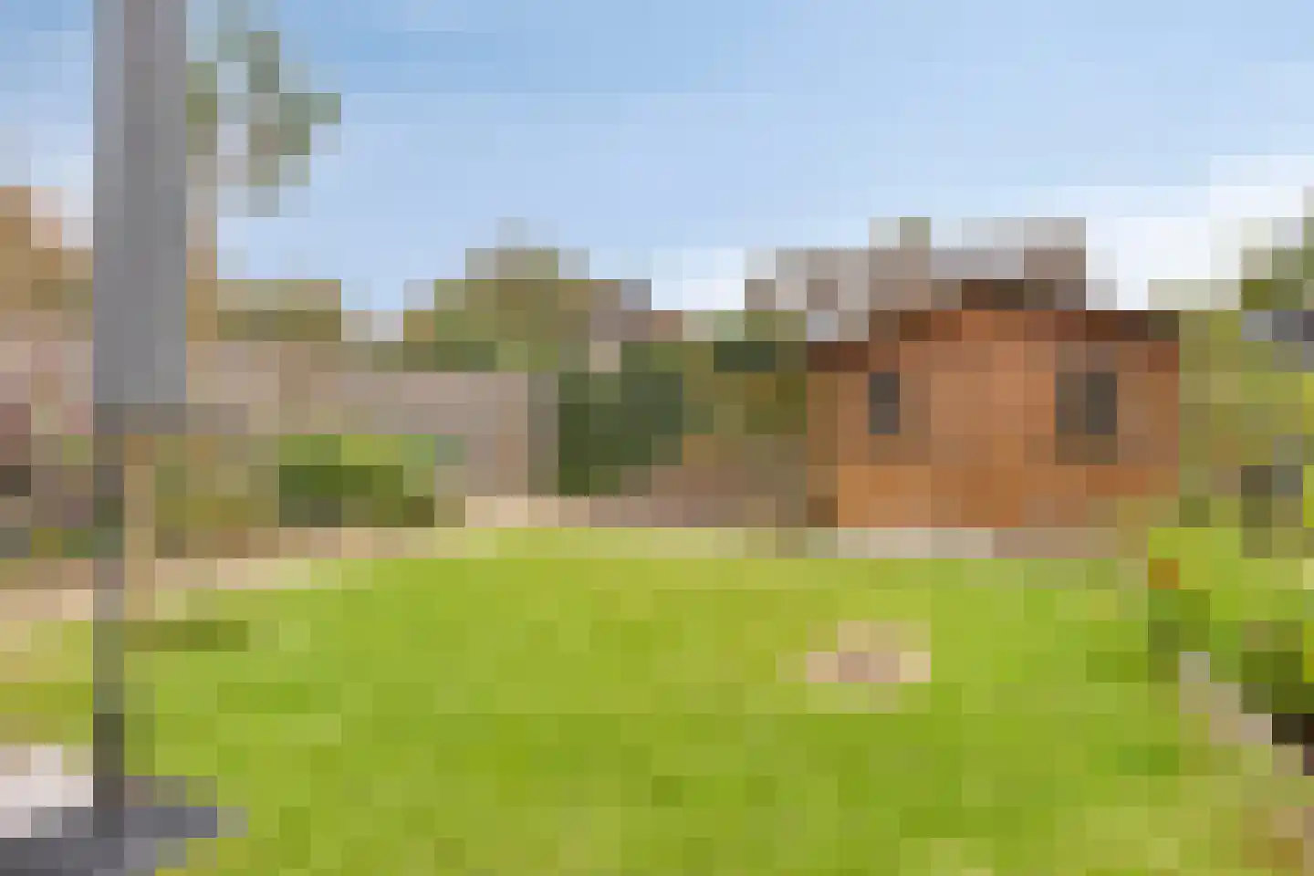Ooievaar 7 Oud-Beijerland thumbnail 47