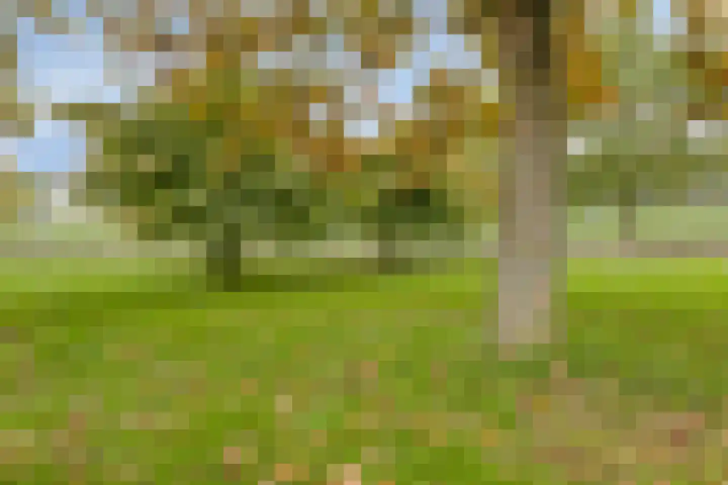 Ooievaar 7 Oud-Beijerland thumbnail 50