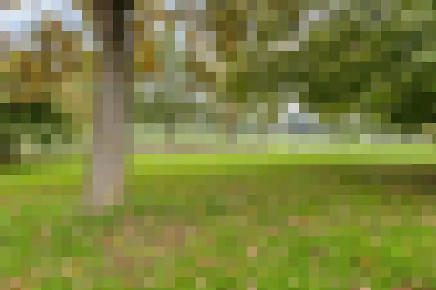 Ooievaar 7 Oud-Beijerland thumbnail 51