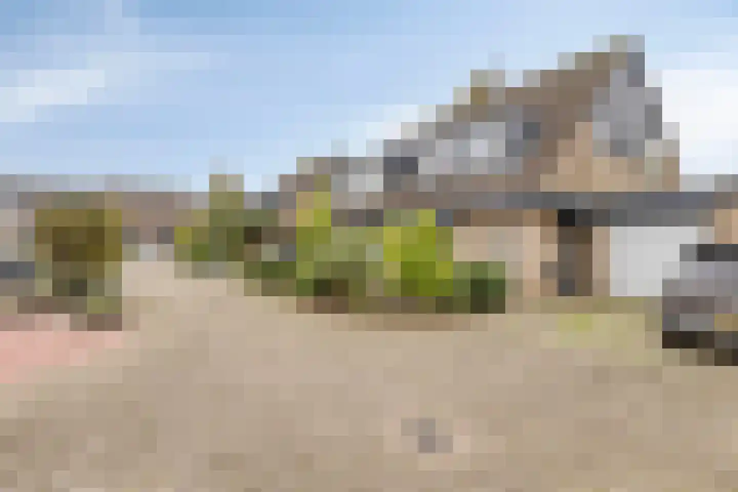 Ooievaar 7 Oud-Beijerland thumbnail 8