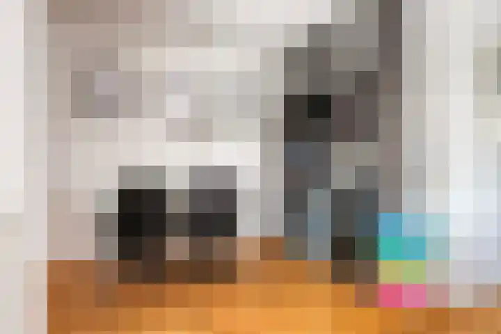 Ooievaar 7 Terneuzen thumbnail 11