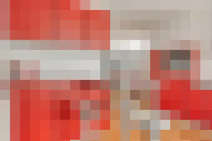 Ooievaar 7 Terneuzen thumbnail 14