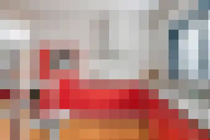 Ooievaar 7 Terneuzen thumbnail 15