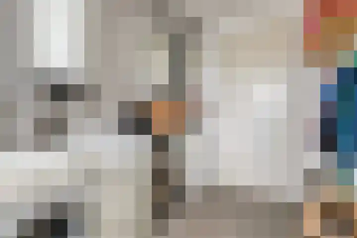 Ooievaar 7 Terneuzen thumbnail 16
