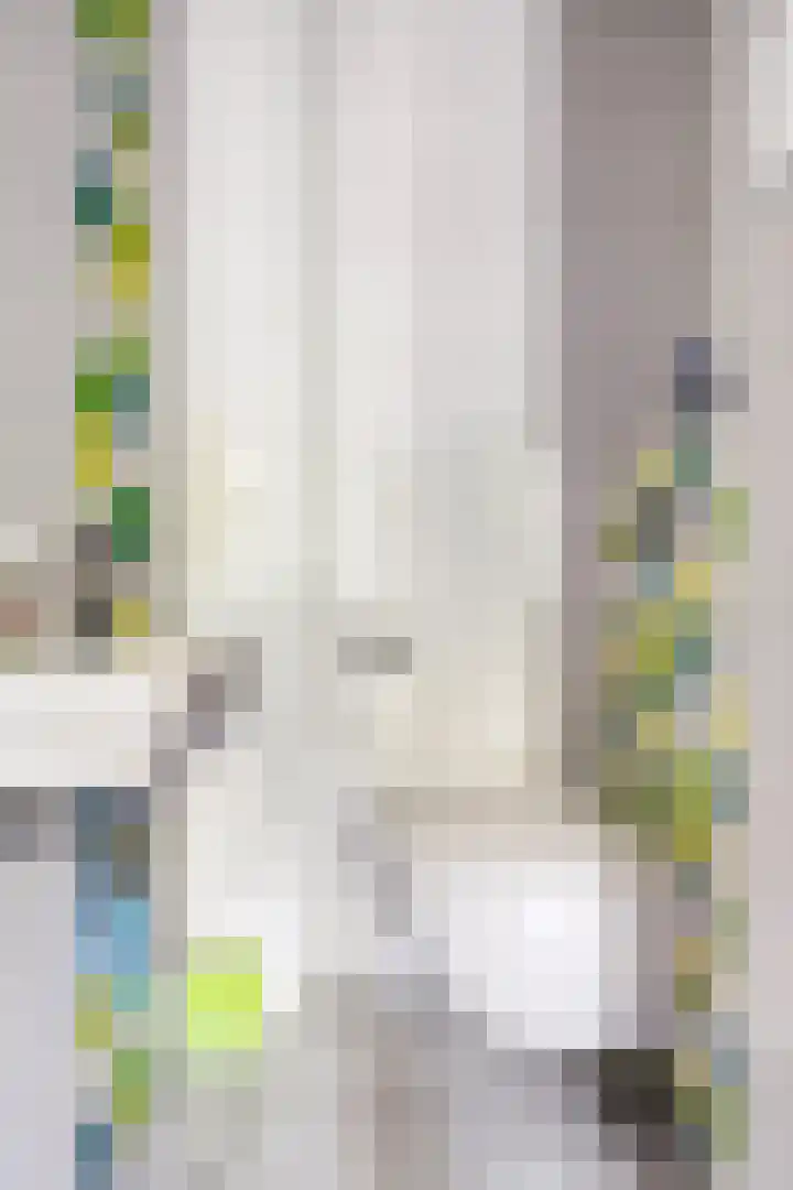 Ooievaar 7 Terneuzen thumbnail 18