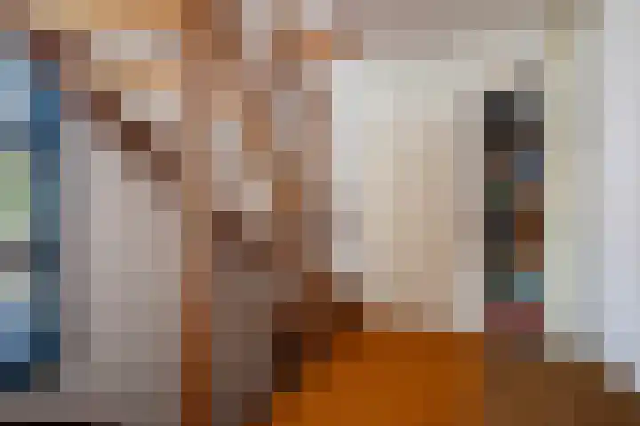 Ooievaar 7 Terneuzen thumbnail 20