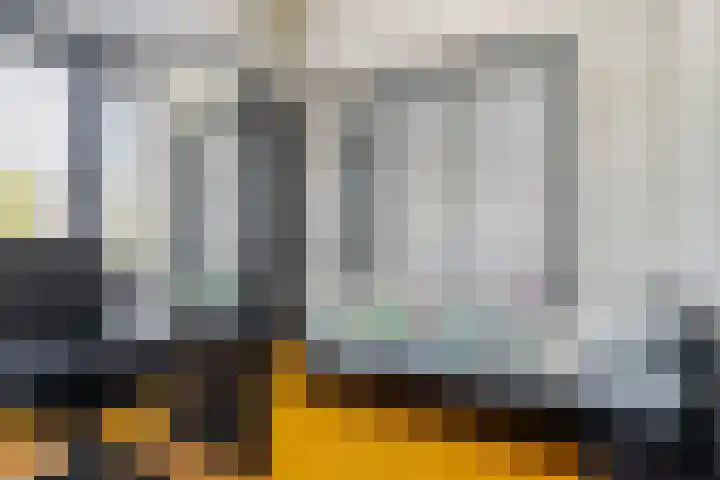 Ooievaar 7 Terneuzen thumbnail 21