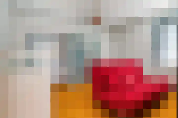 Ooievaar 7 Terneuzen thumbnail 22