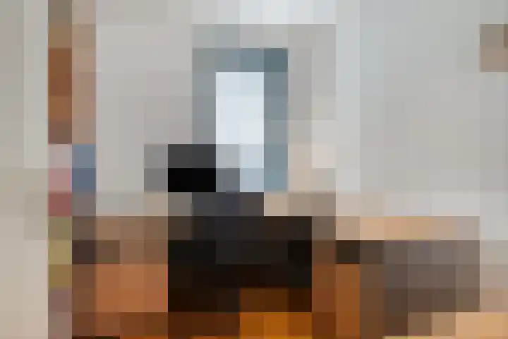 Ooievaar 7 Terneuzen thumbnail 24