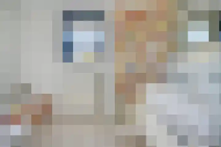 Ooievaar 7 Terneuzen thumbnail 25