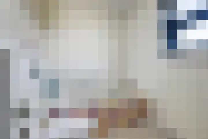 Ooievaar 7 Terneuzen thumbnail 26