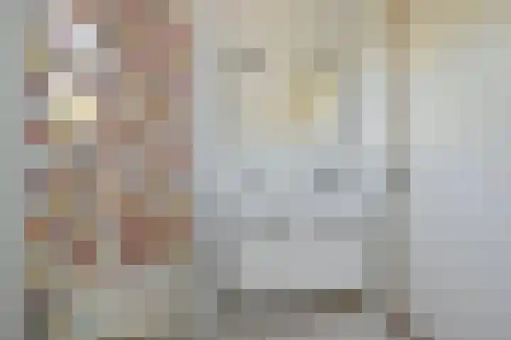 Ooievaar 7 Terneuzen thumbnail 27