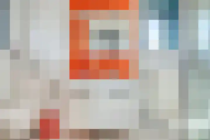 Ooievaar 7 Terneuzen thumbnail 31