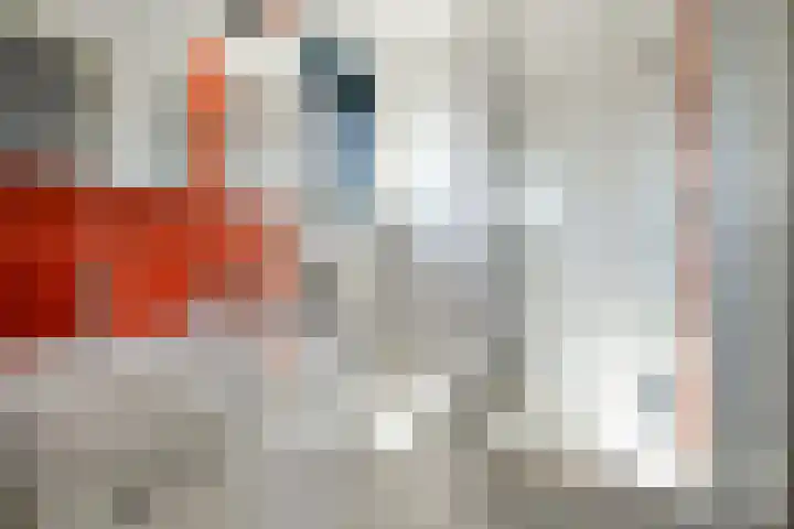 Ooievaar 7 Terneuzen thumbnail 32