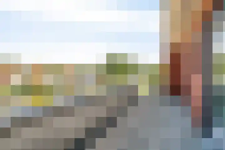 Ooievaar 7 Terneuzen thumbnail 33