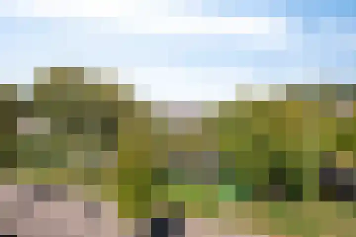 Ooievaar 7 Terneuzen thumbnail 34