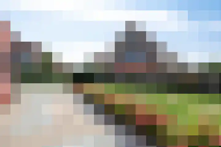 Ooievaar 7 Terneuzen thumbnail 35