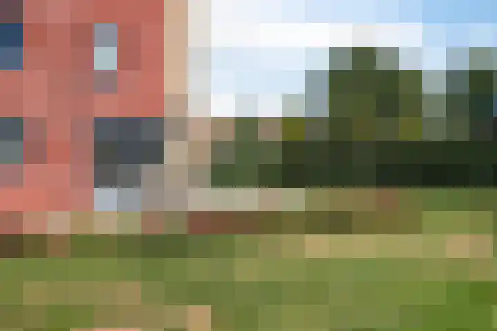 Ooievaar 7 Terneuzen thumbnail 37