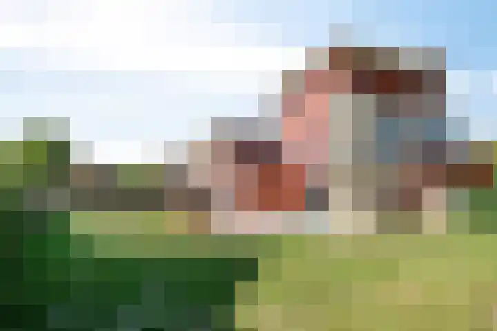 Ooievaar 7 Terneuzen thumbnail 39