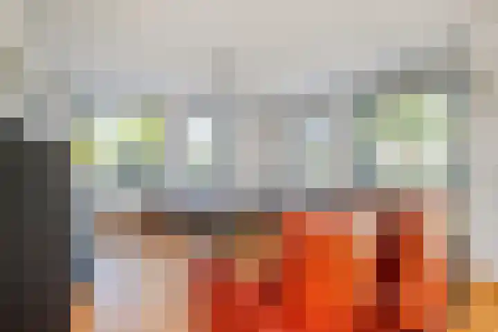 Ooievaar 7 Terneuzen thumbnail 4