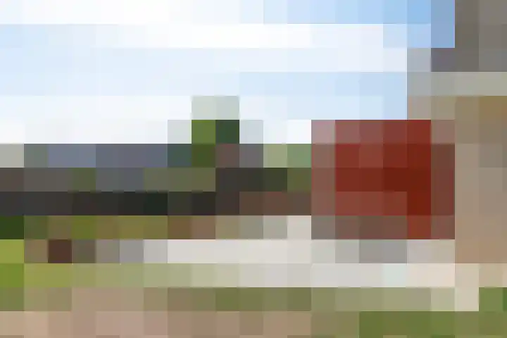 Ooievaar 7 Terneuzen thumbnail 40