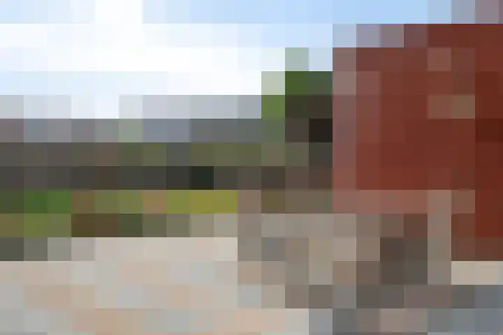 Ooievaar 7 Terneuzen thumbnail 42