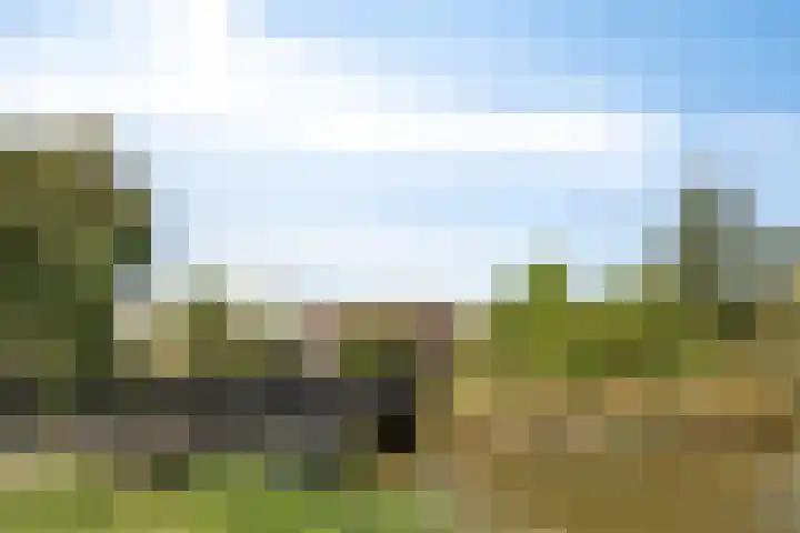 Ooievaar 7 Terneuzen thumbnail 43