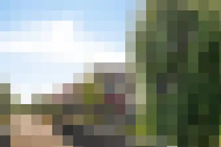 Ooievaar 7 Terneuzen thumbnail 44