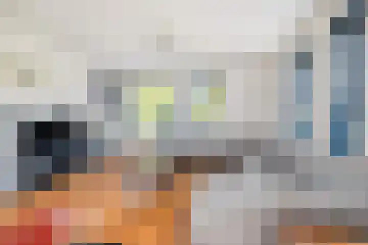 Ooievaar 7 Terneuzen thumbnail 5