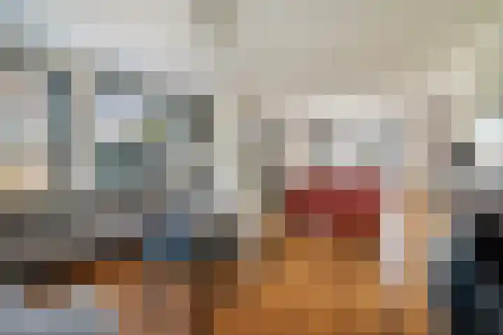 Ooievaar 7 Terneuzen thumbnail 7