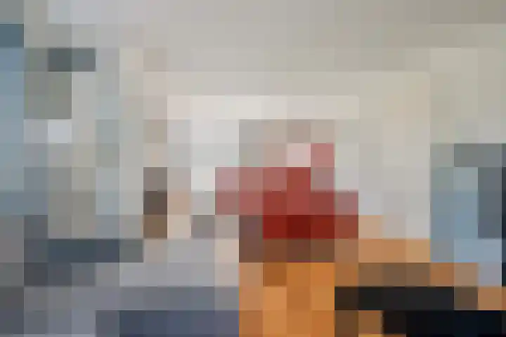 Ooievaar 7 Terneuzen thumbnail 8