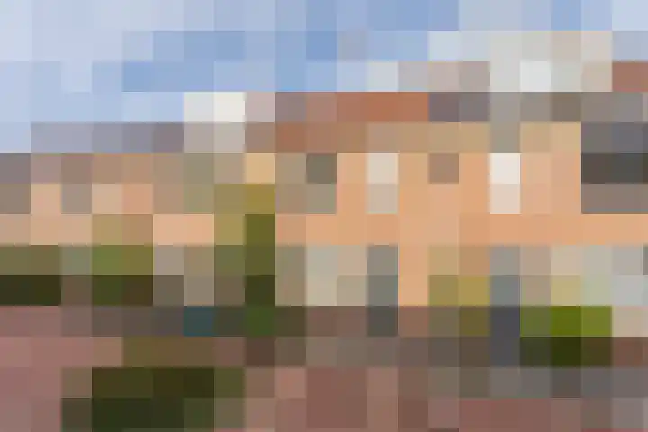 Ooievaar 9 Berkel en Rodenrijs