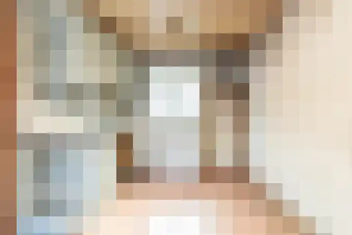 Ooievaar 9 Berkel en Rodenrijs thumbnail 10