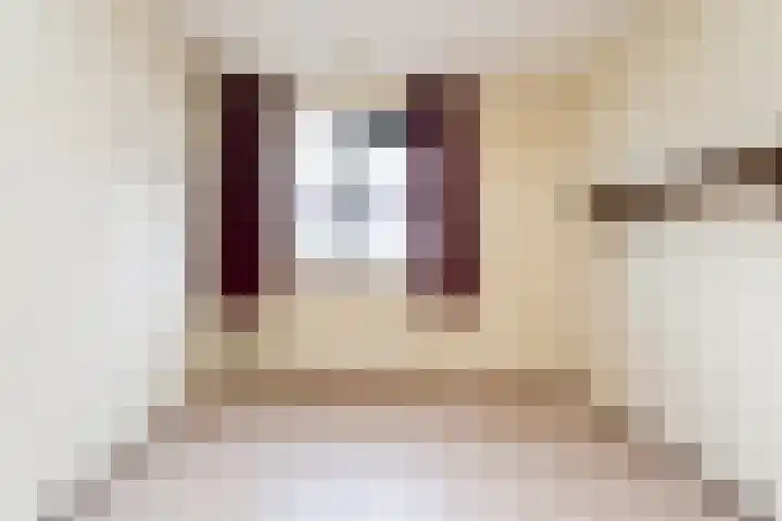 Ooievaar 9 Berkel en Rodenrijs thumbnail 13