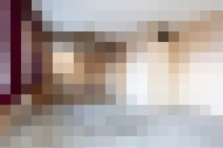 Ooievaar 9 Berkel en Rodenrijs thumbnail 14