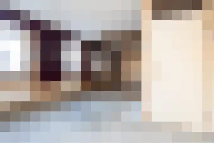 Ooievaar 9 Berkel en Rodenrijs thumbnail 15