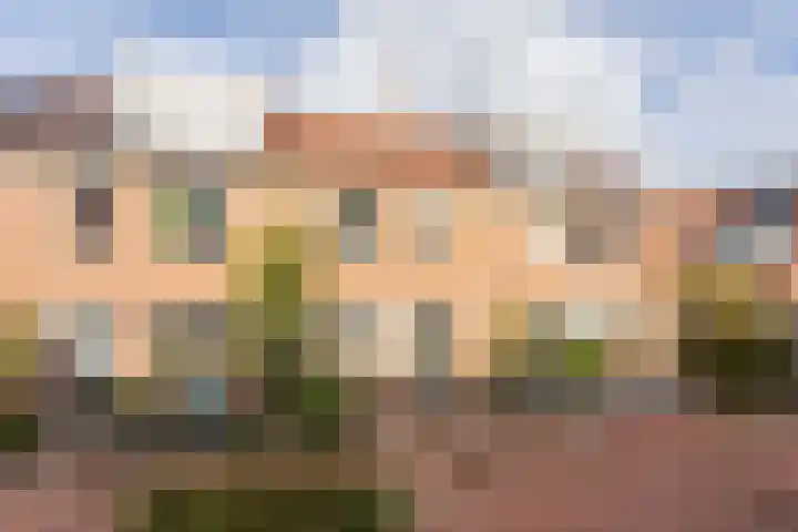 Ooievaar 9 Berkel en Rodenrijs foto 2