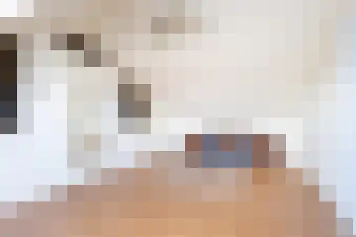Ooievaar 9 Berkel en Rodenrijs thumbnail 20