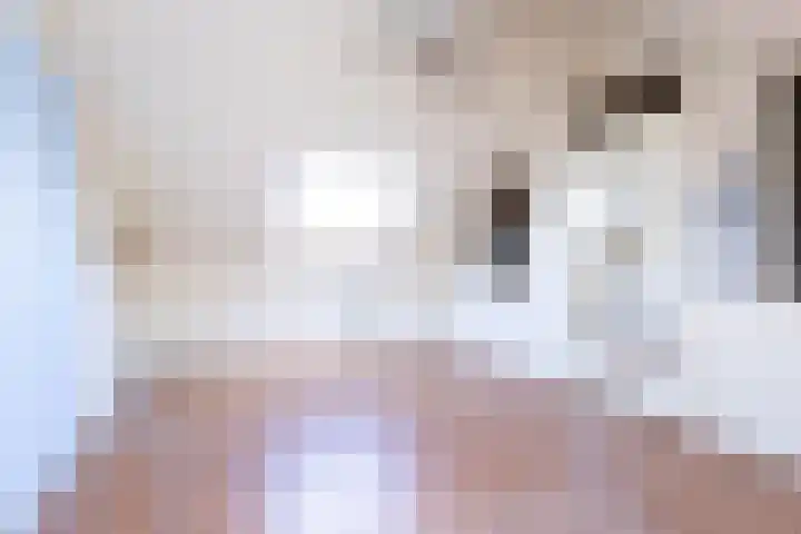 Ooievaar 9 Berkel en Rodenrijs thumbnail 21