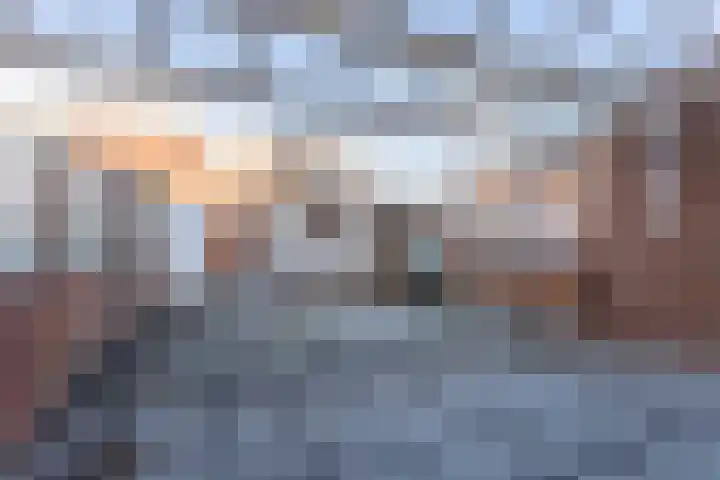 Ooievaar 9 Berkel en Rodenrijs thumbnail 22