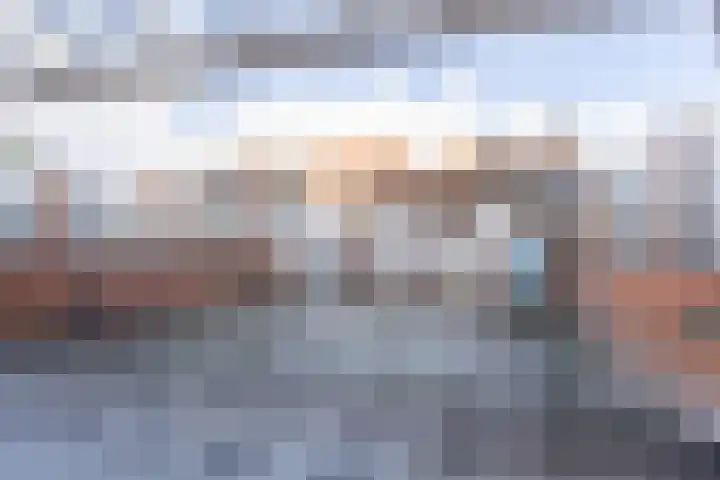 Ooievaar 9 Berkel en Rodenrijs thumbnail 23