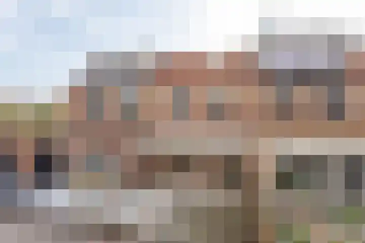 Ooievaar 9 Berkel en Rodenrijs thumbnail 26
