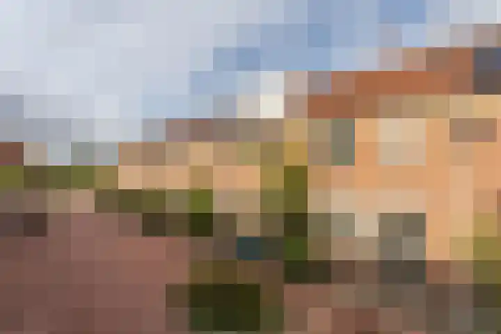 Ooievaar 9 Berkel en Rodenrijs foto 3