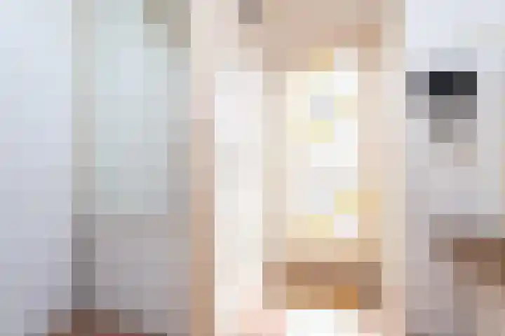 Ooievaar 9 Berkel en Rodenrijs thumbnail 4