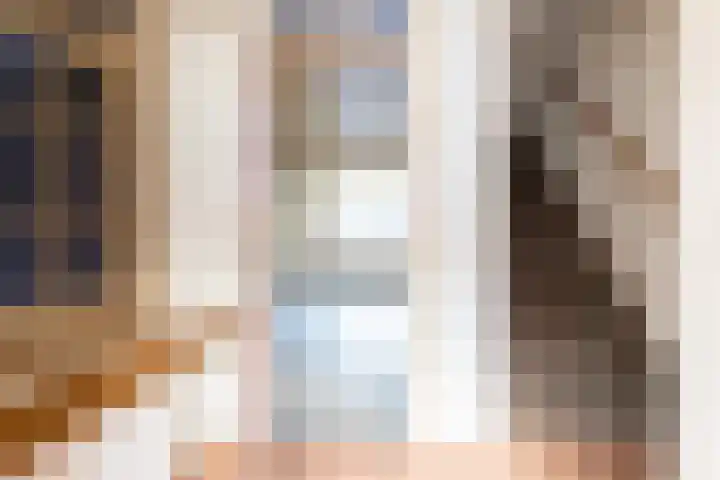 Ooievaar 9 Berkel en Rodenrijs thumbnail 5
