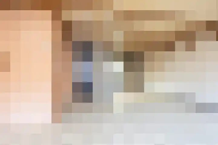 Ooievaar 9 Berkel en Rodenrijs thumbnail 8